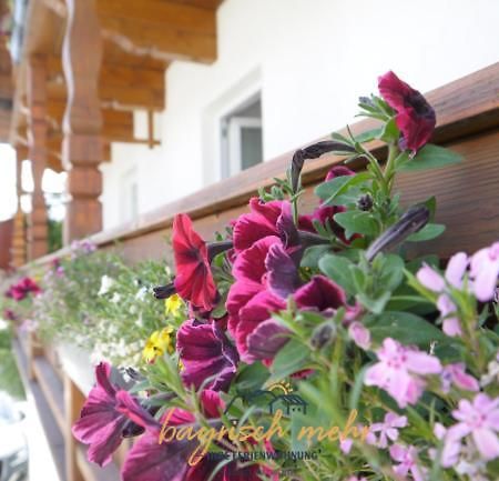 Ihre Ferienwohnung Bayrisch Mehr... Gstadt am Chiemsee Habitación foto